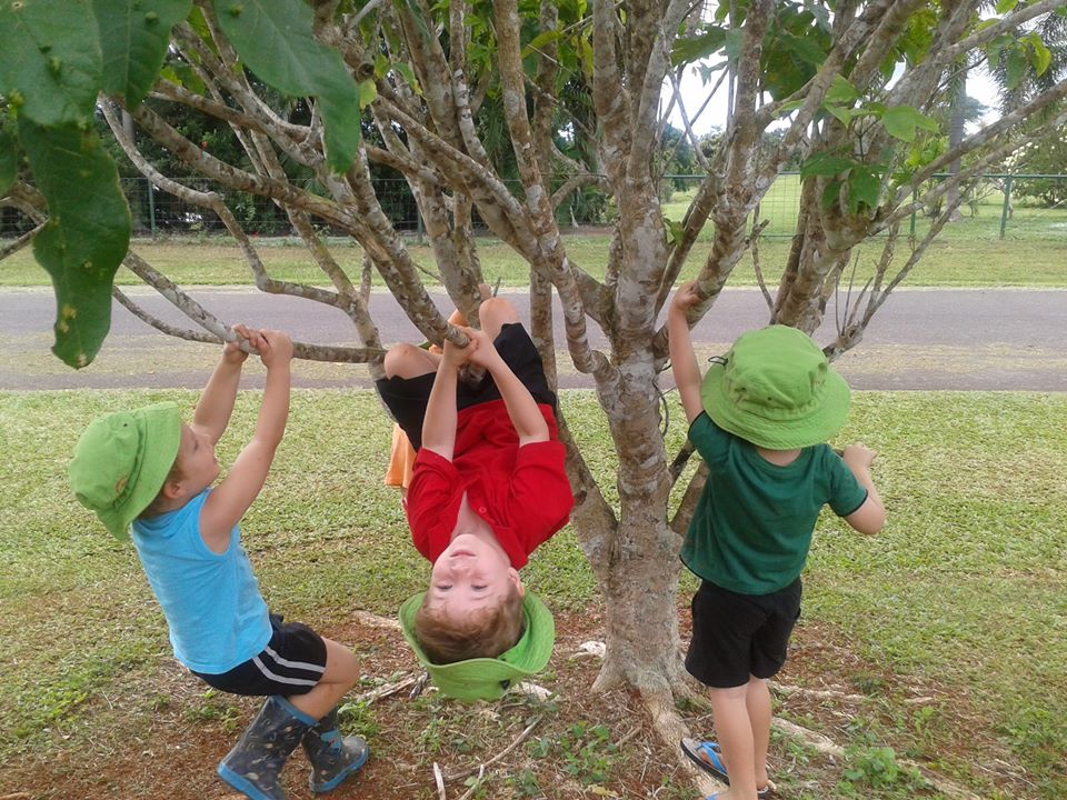 Nature Play in education | Nature Play QLD