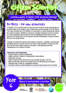Citizen Science Project Yr 6-01