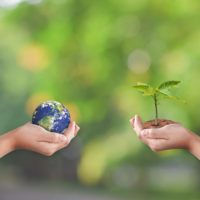 Hands holding earth globe and tree over green nature background. Saving world Ecology concept