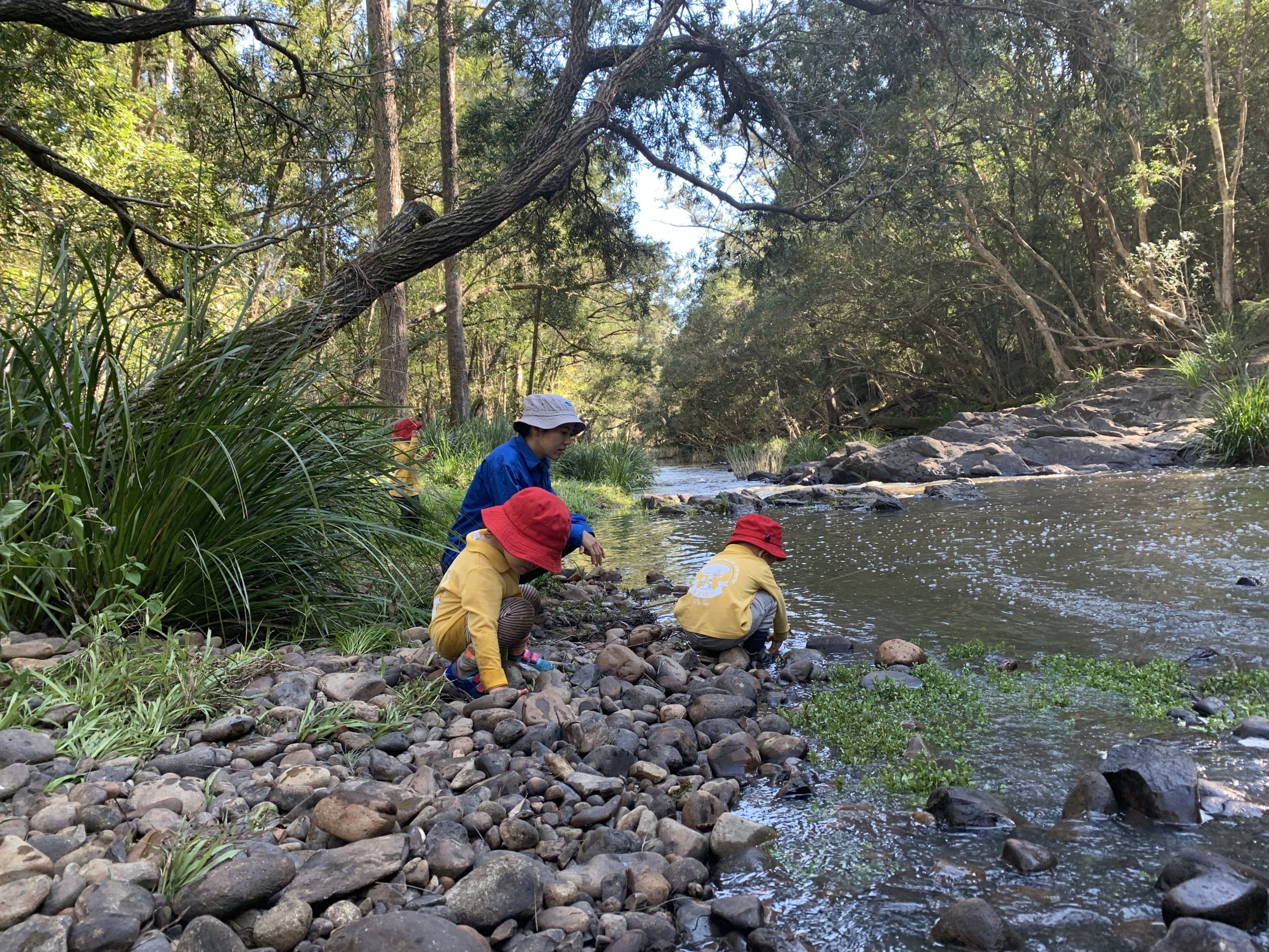 Become a Nature Play Education Provider | Nature Play QLD